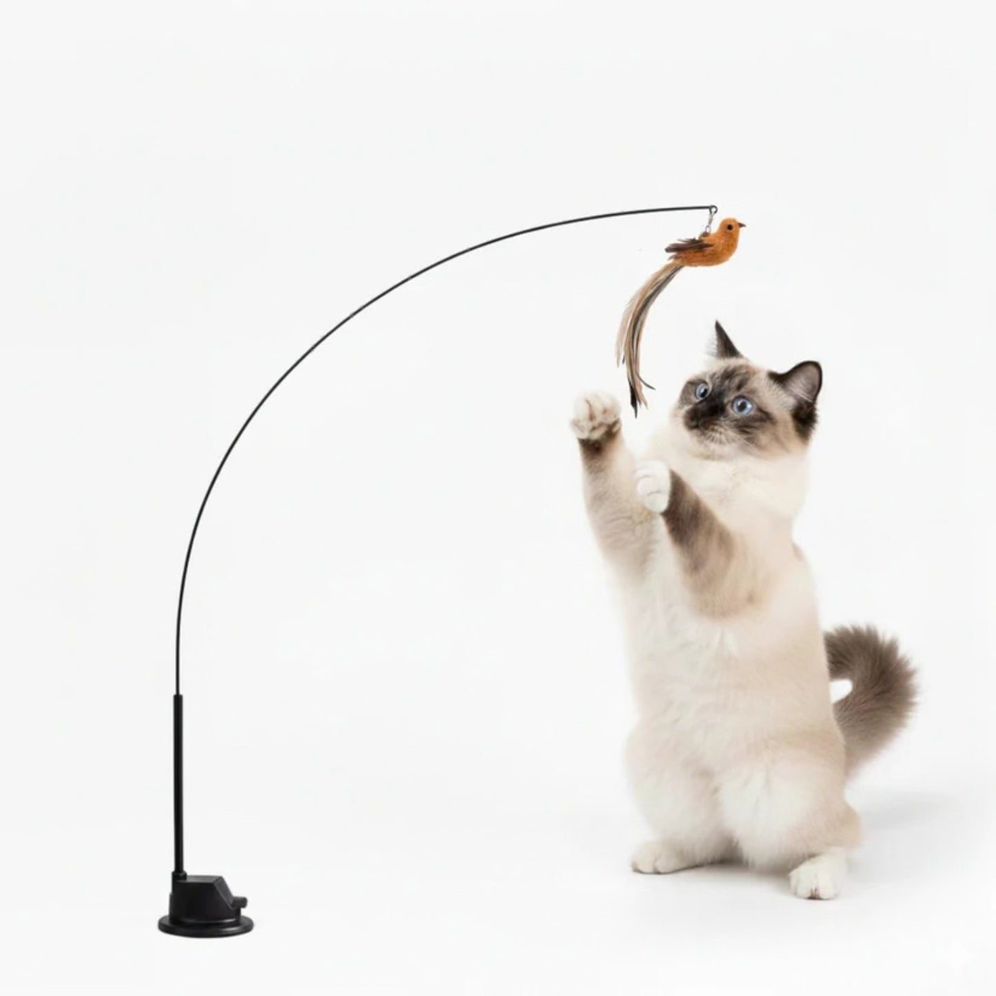 Jaktsverdet - Aktiverer katten din på null komma niks
