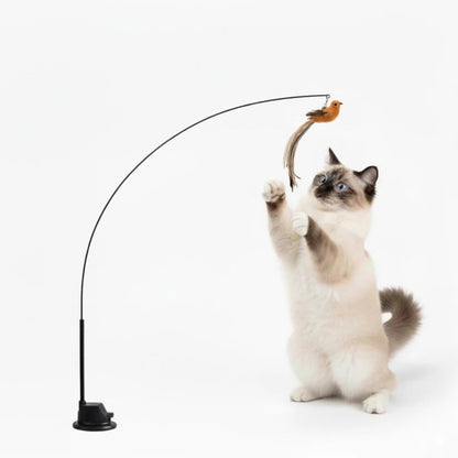 Jaktsverdet - Aktiverer katten din på null komma niks