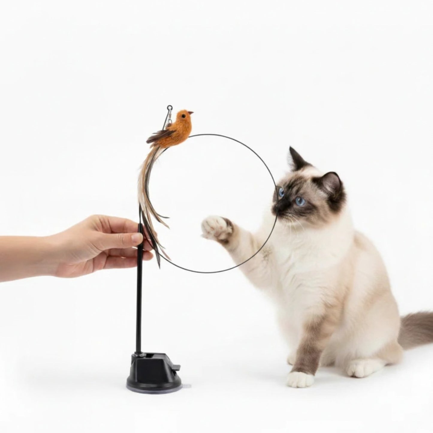 Jaktsverdet - Aktiverer katten din på null komma niks