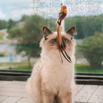 Jaktsverdet - Aktiverer katten din på null komma niks