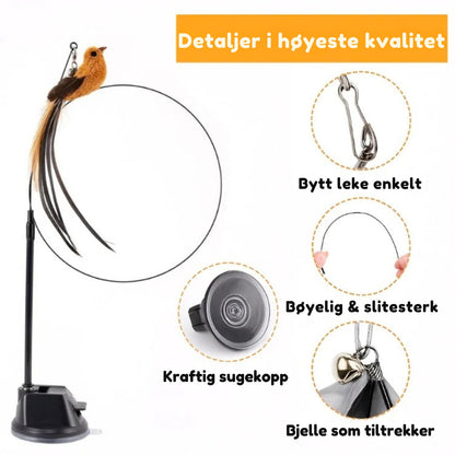 Jaktsverdet - Aktiverer katten din på null komma niks